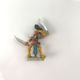 Elfes Noirs Maraudeur 