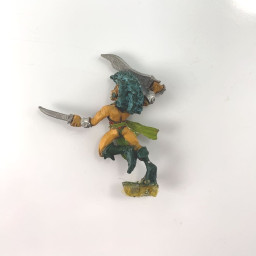 Elfes Noirs Marauder