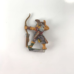 Elfes Noirs Maraudeur 