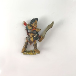 Elfes Noirs Maraudeur 