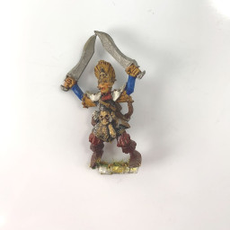 Elfes Noirs Maraudeur 