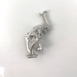 Elfes Noirs Maraudeur 