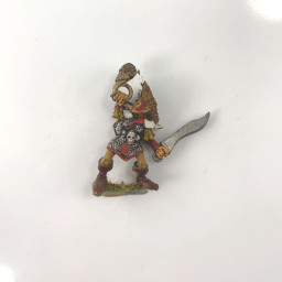 Elfes Noirs Maraudeur 