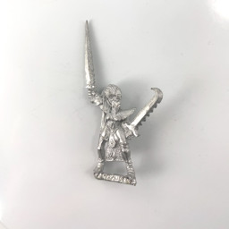 Elfes Noirs Marauder