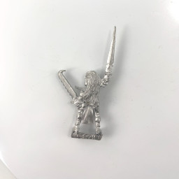 Elfes Noirs Marauder