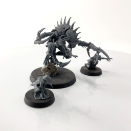 Patriarch