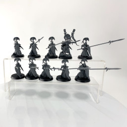 Vanari Auralan Wardens