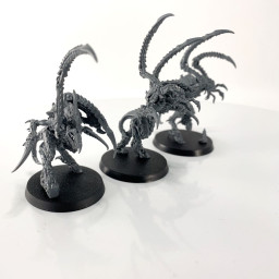 Von Ryan’s Leapers