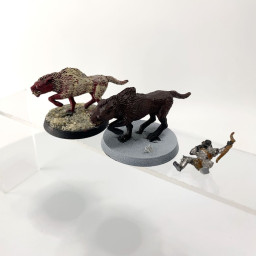 Warg riders incomplet