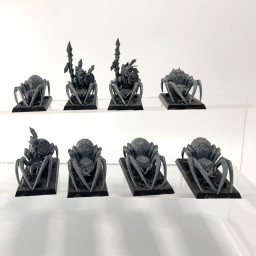 grot spider riders incomplet