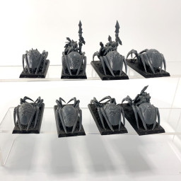 grot spider riders incomplet