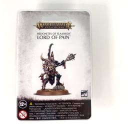 Lord of pain blister