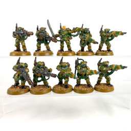 Cadian Kasrkin Veteran Squad