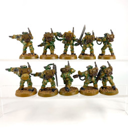 Cadian Kasrkin Veteran Squad