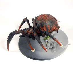 Arachnarok avec Catatoile