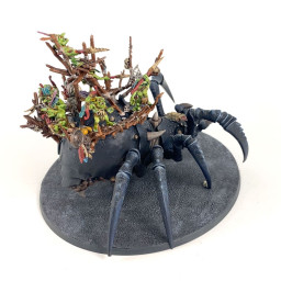 Arachnarok avec Tribu Guerrière Crodaragne