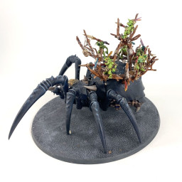 Arachnarok avec Tribu Guerrière Crodaragne