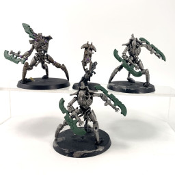 3 Skorpekh Destroyers + Plasmacyte