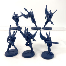 Éperviers Voltigeurs