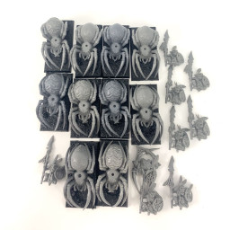 Chevaucheurs d'araignées