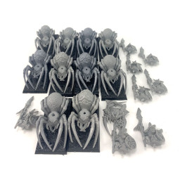 Grot Spider Riders