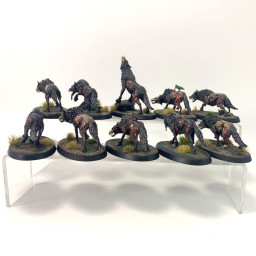 Dire Wolves