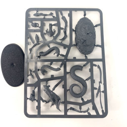 Sekhar Croc de Nulahmia