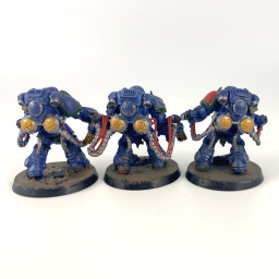 Primaris aggressors