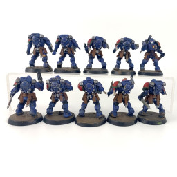 Primaris reivers
