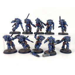 Assault intercessors