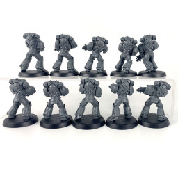 Primaris intercessors