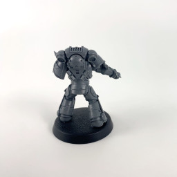 Capitaine primaris