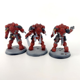 Primaris reivers