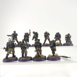 troupes de choc cadienne