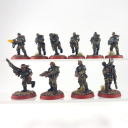 troupes de choc cadienne