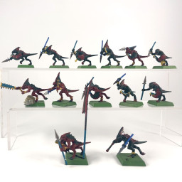 skinks