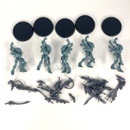 Wraithguards