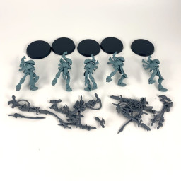 Wraithguards