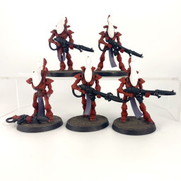 Wraithguards