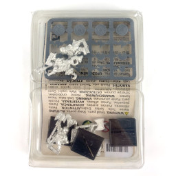 Prince Ulther's dragon company Warrior