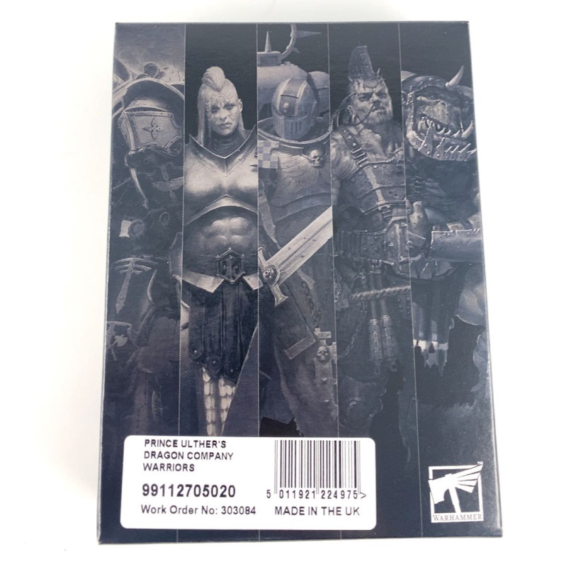 Prince Ulther's dragon company Warriors