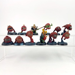 Squig Herd