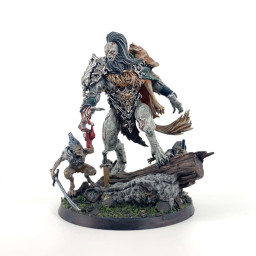 Figurine Warhammer AOS – Radukar The Wolf – Soulblight Gravelords – Plastique