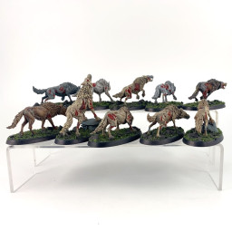 Dire Wolves