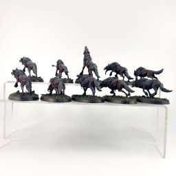 Dire Wolves