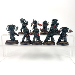 Primaris intercessors