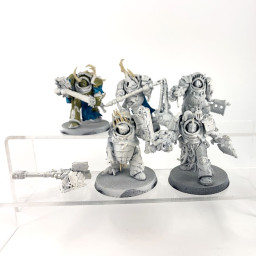 Terminators rouillards