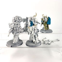 Blightlord Terminators