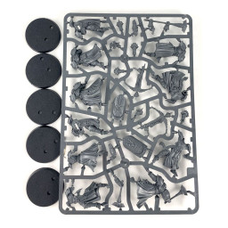 3 Sequitors + 2 Castigators