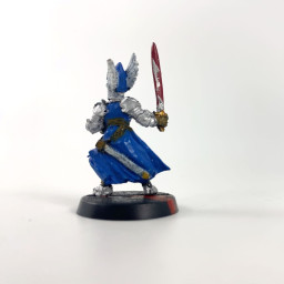 Dol Amroth knights